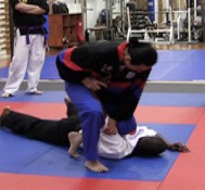 Open Hand Strikes Combo – Mastermind Class