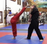 The Chop Kick (Roundhouse Kick)