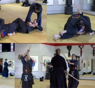 Seminars LIVE Stream!